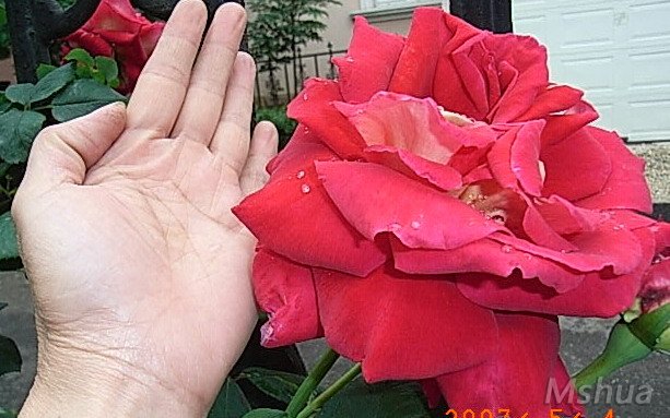 �����Ѿ�