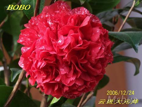100_4651.jpg