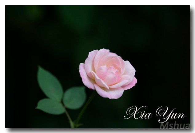 IMG_2391 ����.jpg