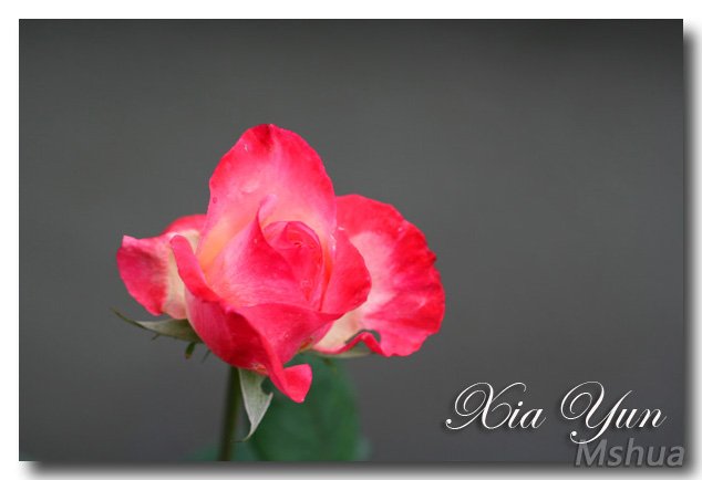 IMG_2380 ����.jpg