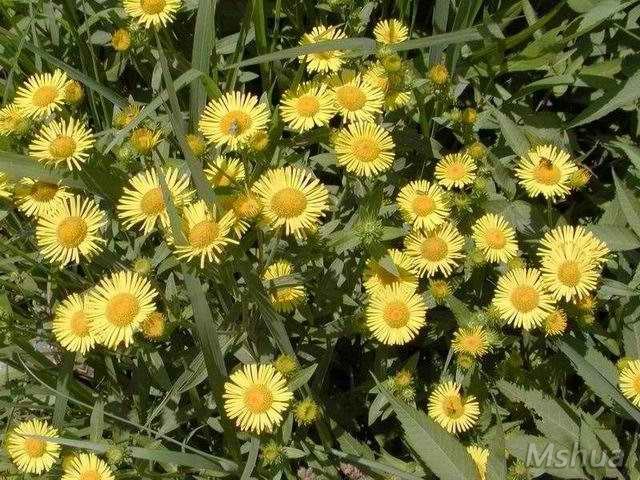 ������С ������.jpg