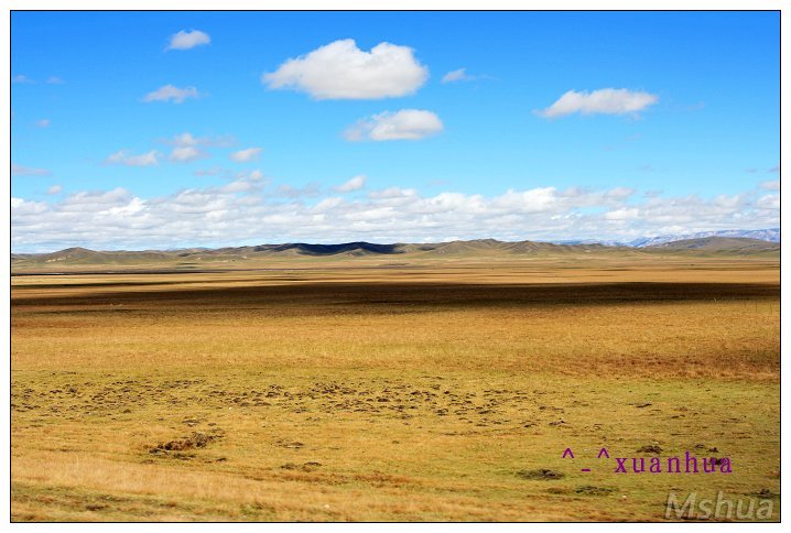 ��ɫ���ǲ�ԭ����ļң���Ŀ���ǡ�����