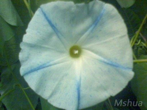 DSC00007.JPG