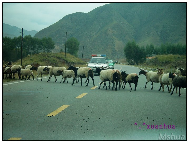 ��ѽ�����˸�����