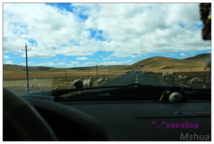 ����·����Ⱥ