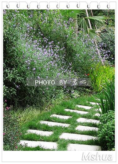 С-GARDEN-���޲�С��IMG_1195.jpg
