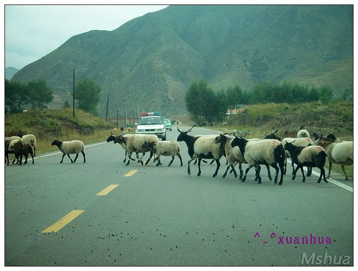 ͨ��ʱ�䵽��