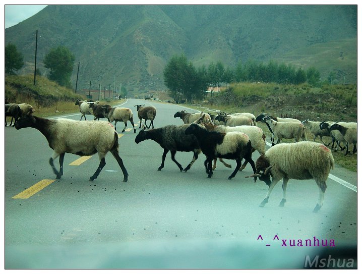 �����к��˵��𡣡�