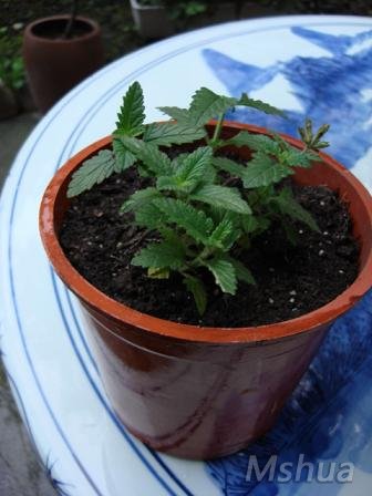 ���һ��ס���䡣