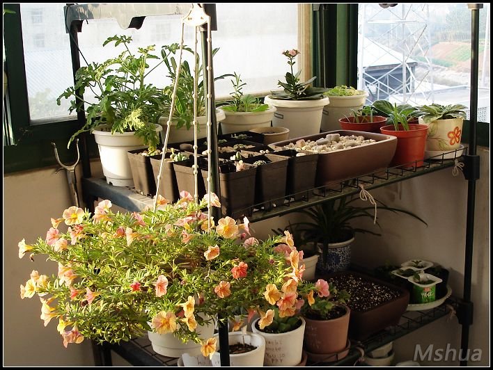 DSC05319.JPG