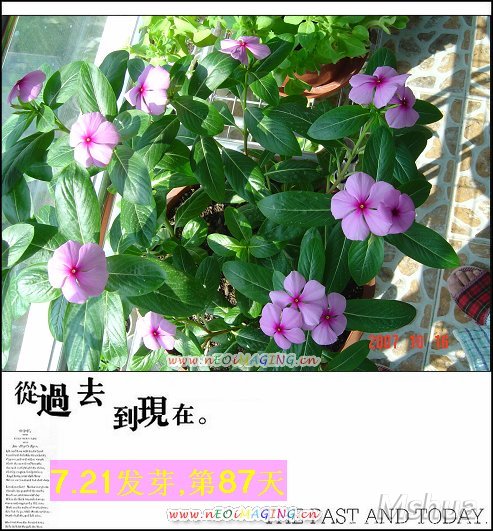 ���� ��⬵����մ�.JPG