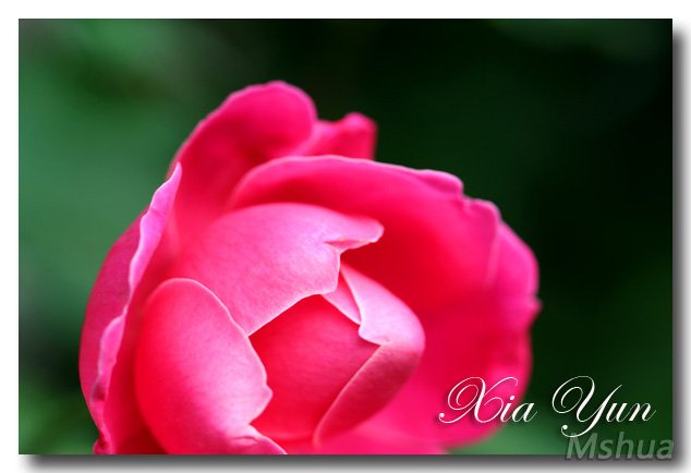 IMG_3412 ����.jpg