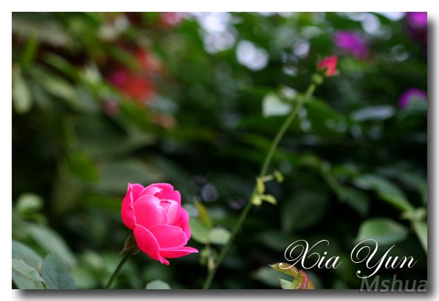 IMG_3402 ����.jpg