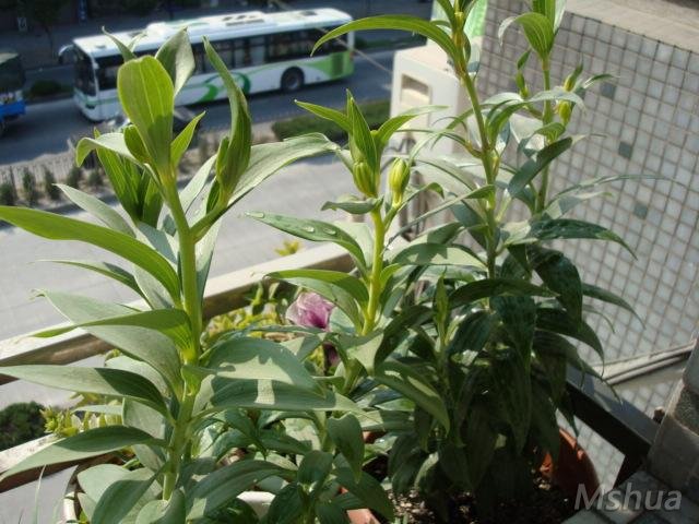 DSC00406.JPG