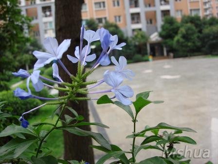 DSC03424.JPG
