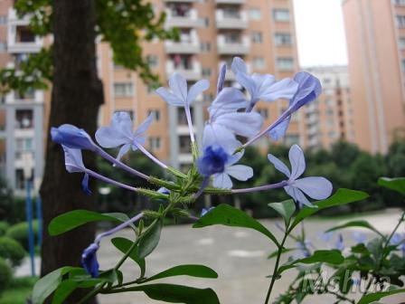 DSC03426.JPG