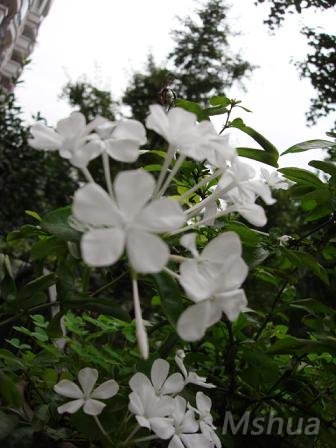 DSC03435.JPG