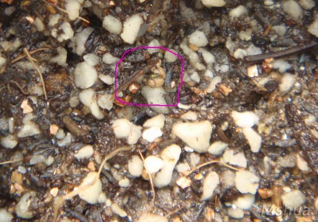 �һ���һ��Ȧ