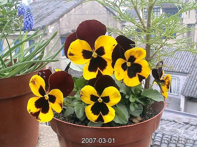 DSC04753 �þ�.jpg