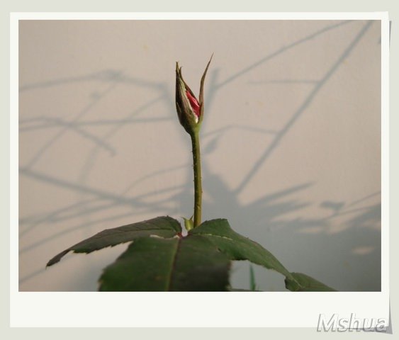 ������С �¼�_nEO_IMG.jpg