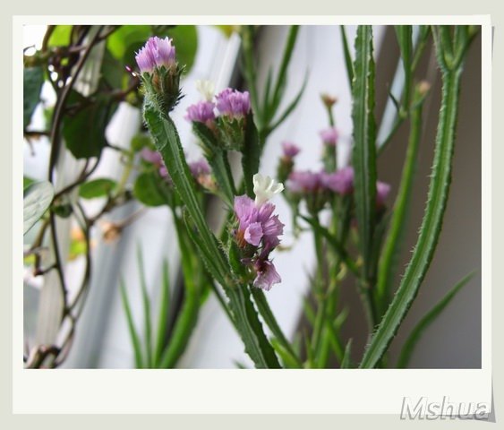 ������С ������4_nEO_IMG.jpg