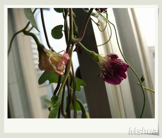 ������С ǣţ20_nEO_IMG.jpg