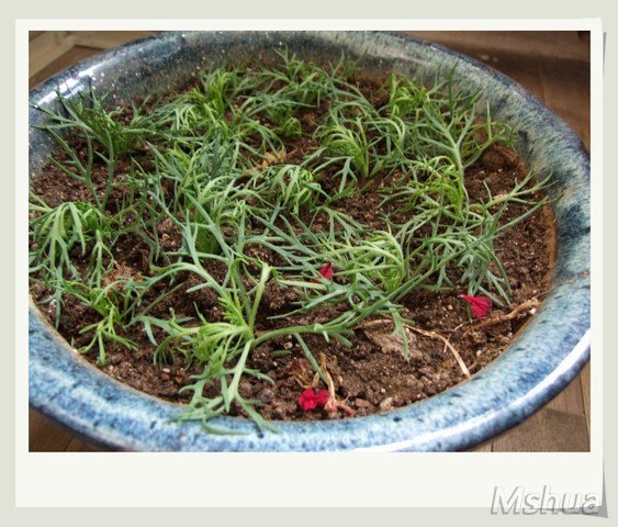 ������С С��3_nEO_IMG.jpg