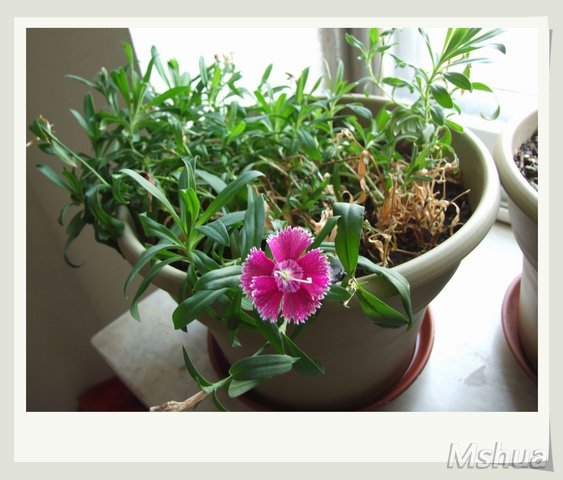 ������С ʯ��_nEO_IMG.jpg