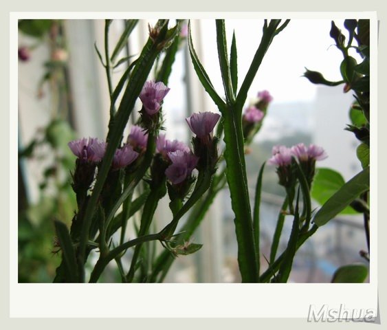 ������С ������3_nEO_IMG.jpg