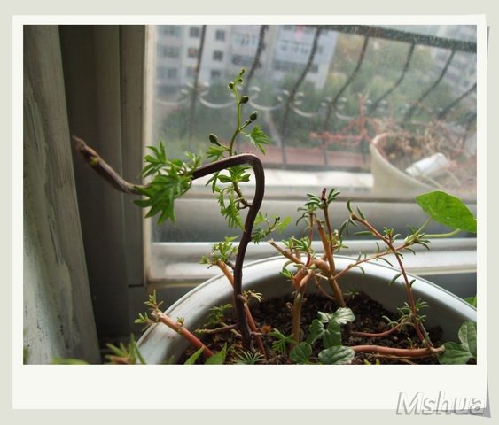 ������С ţ11_nEO_IMG.jpg