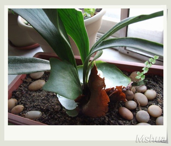 ������С ¹��34_nEO_IMG.jpg