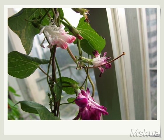 ������С ǣţ19_nEO_IMG.jpg