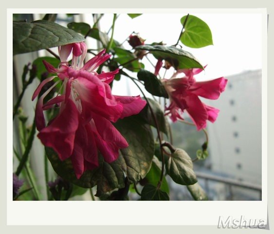 ������С ǣţ16_nEO_IMG.jpg