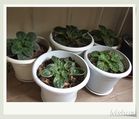 ������С ��_nEO_IMG.jpg