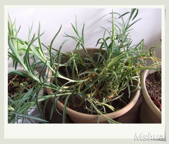 ������С ����ܰ_nEO_IMG.jpg