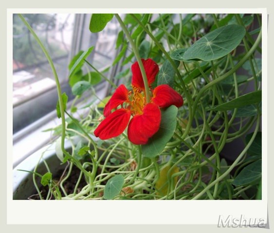 ������С ������114_nEO_IMG.jpg