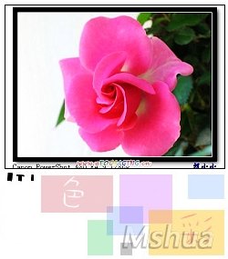 17_nEO_IMG.jpg