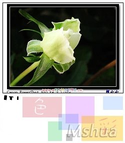 18_nEO_IMG.jpg