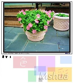 07103_nEO_IMG.jpg
