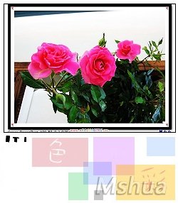 16_nEO_IMG.jpg