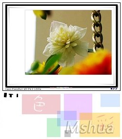 15_nEO_IMG.jpg