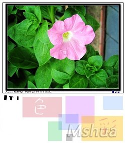 07102_nEO_IMG.jpg