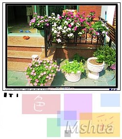 07108_nEO_IMG.jpg