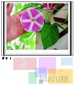 11_nEO_IMG.jpg