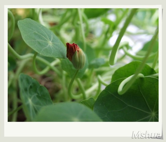 ������С DSCF0023_nEO_IMG.jpg