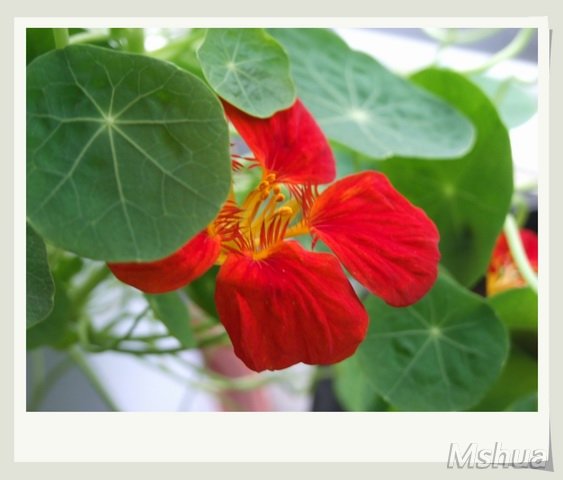 ������С DSCF0024_nEO_IMG.jpg