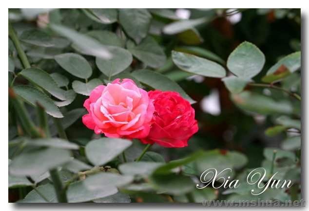 IMG_4691 ����.jpg