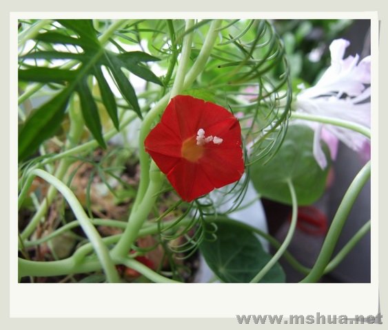 ������С DS73.jpg