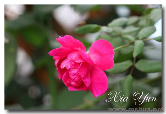 IMG_4692 ����.jpg