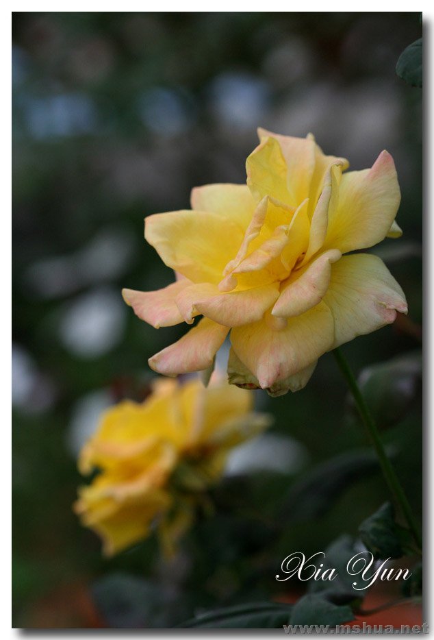 IMG_4693 ����.jpg